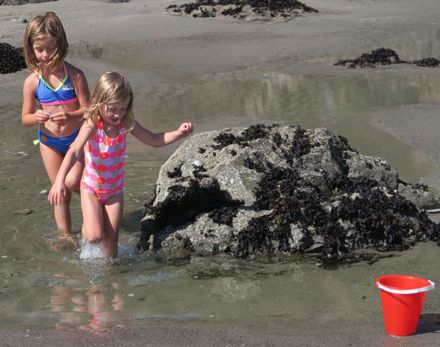 <p><span style="font-size: 16px; text-indent: 24px;"> Zoe and Mia playing in a pool on Jughandle Beach</span></p>