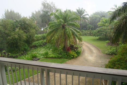 <p>our front yard during a shower</p>