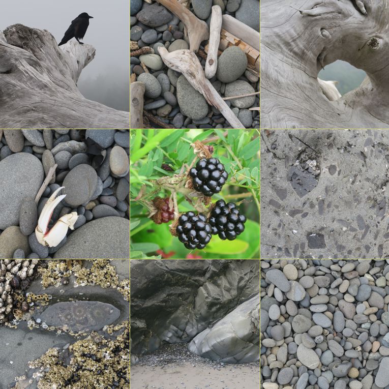 <p>Quileute images</p>