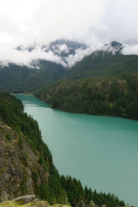 <p>The Southeast Arm of Ross Lake</p>