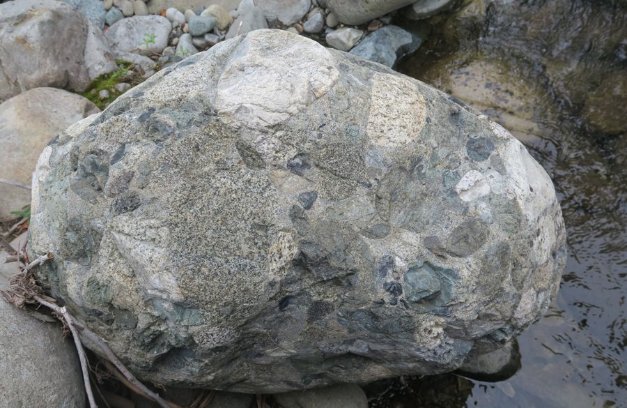 <p>Conglomerate boulder</p>