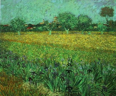 Vincent Van Gogh: Field with flowers near Arles