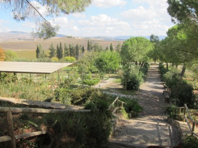<p>the kitchen garden at Regaliali</p>