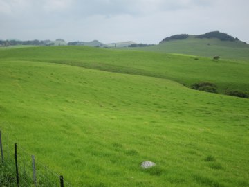 <p>The greener-than-green uplands of the Kohalas</p>