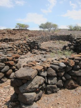 <p>Remnant walls of the many hale around the cove</p>