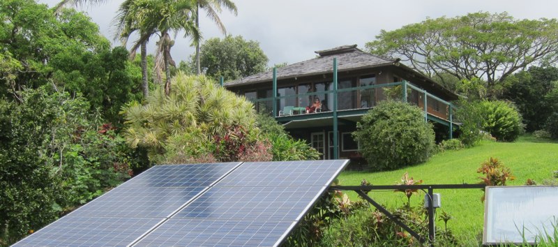 . On even a softly cloudy day, these panels provide enough energy for light, amusement, and what Anya calls "the biggest hog," the refrigerator.</p>