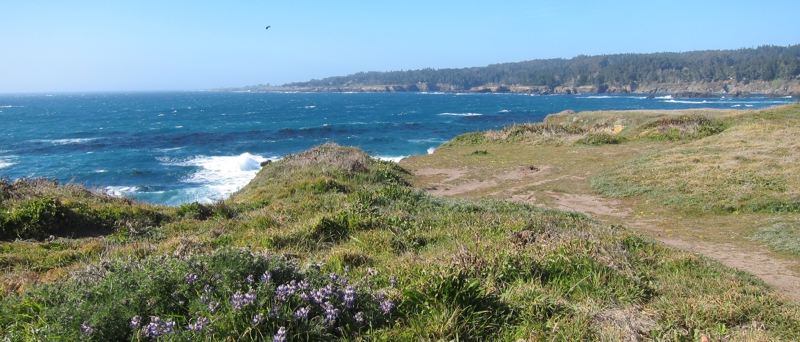 <p>From the Mendocino Headlands,...