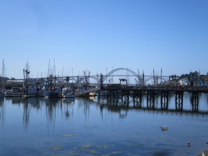 <p>Yaquina harbor and bridge from the boardwalk in front of Local Ocean Seafoods</p>