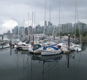 <p>Coal Bay Marina</p>