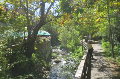 <p>Beside Lithia Creek & Calle Guanajuato</p>