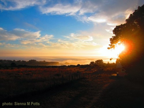 <p>Sienna’s sunset photo and poem</p>