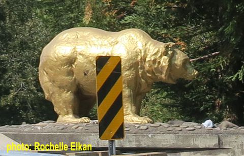 Klamath Golden Bear