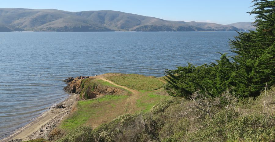 <p>A gorgeous afternoon on Tomales Bay</p>