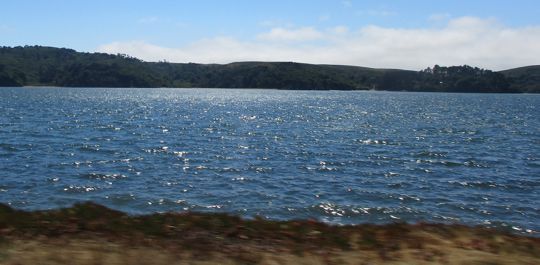 <p>Fog cresting Point Reyes across Bodega Bay</p>