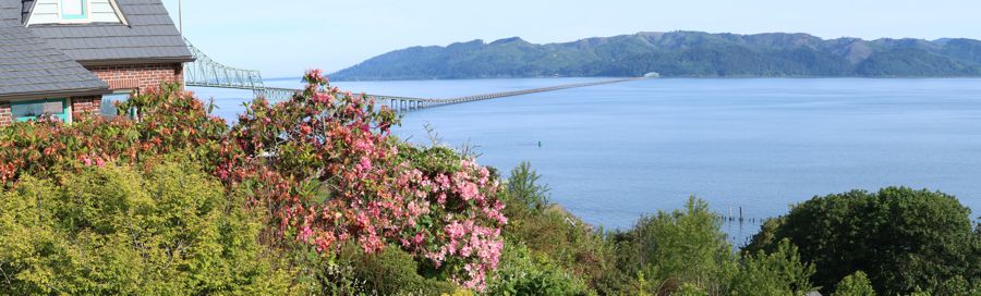 <p>The Megler Bridge to Washington from our deck</p>